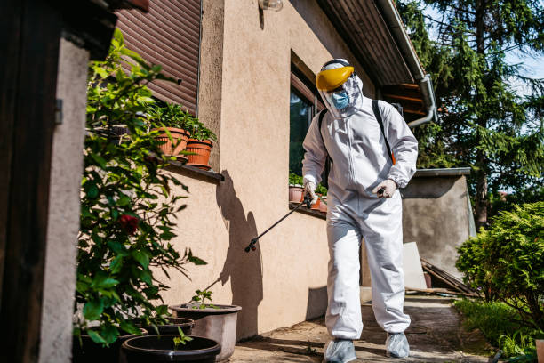 Best Residential Pest Control  in Ladue, MO