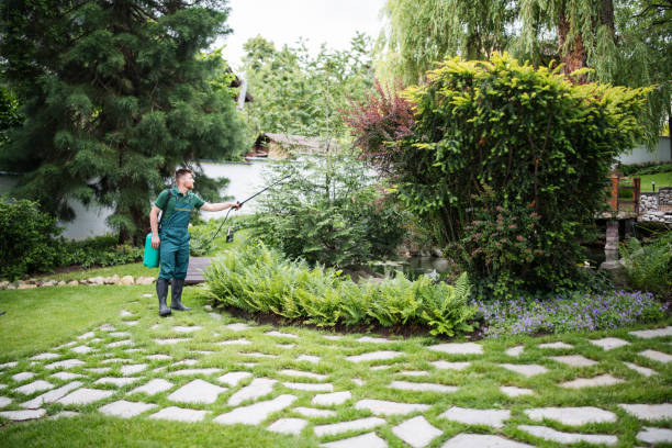 Flea Control Services in Ladue, MO
