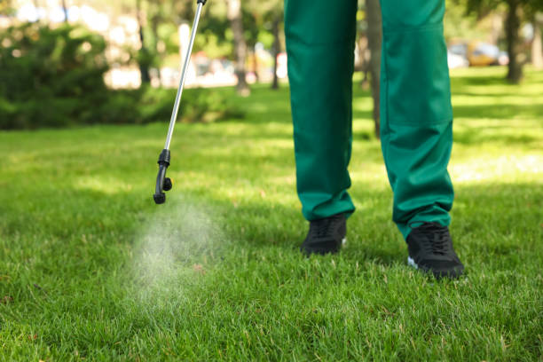 Best Termite Control Services  in Ladue, MO