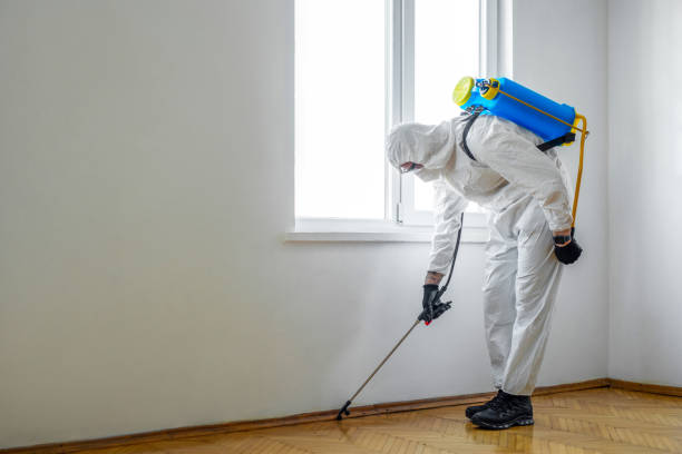 Best Pest Removal Services  in Ladue, MO