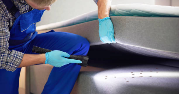Best Affordable Pest Control Services  in Ladue, MO