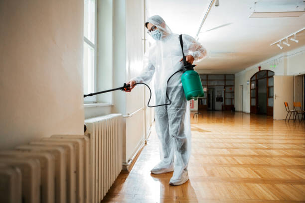 Best Wasp Removal Services  in Ladue, MO