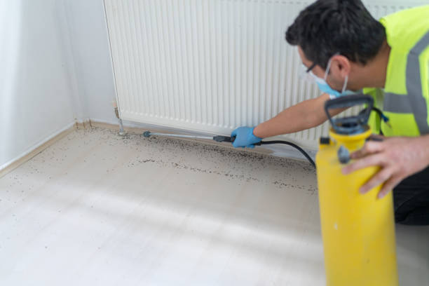 Best Local Pest Control Services  in Ladue, MO